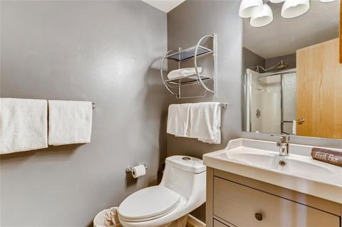 716 E Anemone Trl #E, Dillon, CO 80435 photo 11