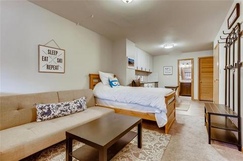 716 E Anemone Trl #E, Dillon, CO 80435 photo 21