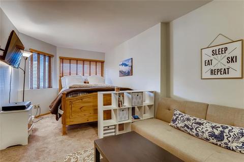 716 E Anemone Trl #E, Dillon, CO 80435 photo 20