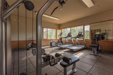 67 E Baron Way, Silverthorne, CO 80498 photo 11