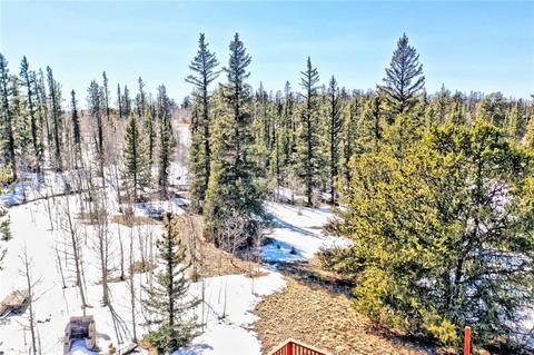 81 Long Rifle Way, Como, CO 80432 photo 12