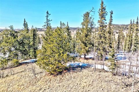 81 Long Rifle Way, Como, CO 80432 photo 16