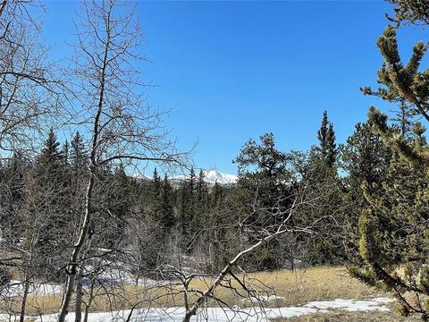81 Long Rifle Way, Como, CO 80432 photo 26