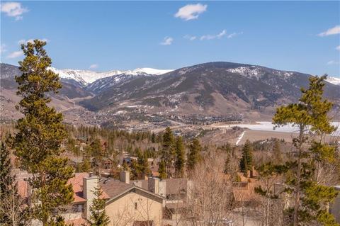 42 Lacy Dr, Silverthorne, CO 80498 photo 13