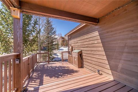 42 Lacy Dr, Silverthorne, CO 80498 photo 4