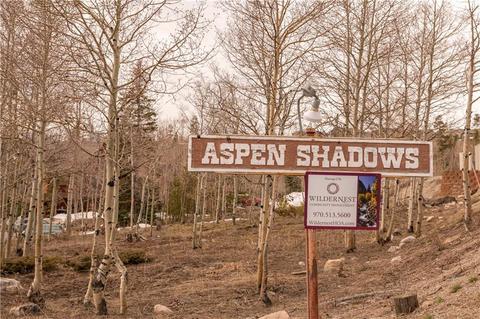 803 Ryan Gulch Rd #A-3, Silverthorne, CO 80498 photo 21
