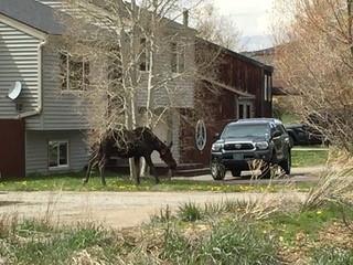 755 Summit Dr, Dillon, CO 80435 photo 26