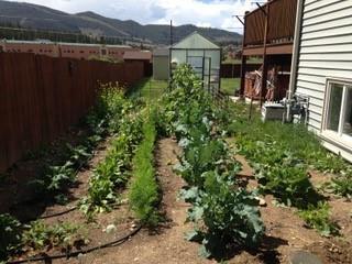 755 Summit Dr, Dillon, CO 80435 photo 24