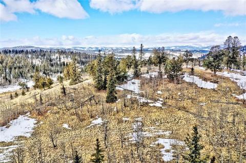 622 W Longbow Dr, Como, CO 80432 photo 4