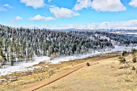 622 W Longbow Dr, Como, CO 80432 photo 12