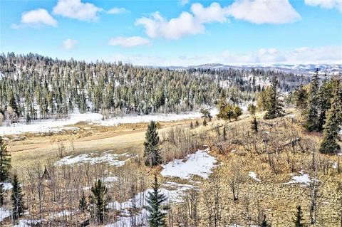 622 W Longbow Dr, Como, CO 80432 photo 3