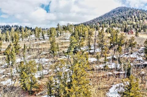 622 W Longbow Dr, Como, CO 80432 photo 10