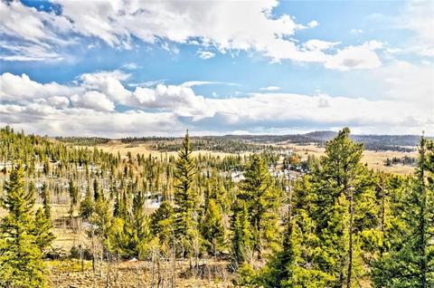 352 Chippewa Ln, Como, CO 80432 photo 2