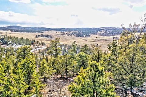 352 Chippewa Ln, Como, CO 80432 photo 4