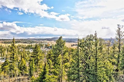 352 Chippewa Ln, Como, CO 80432 photo 3