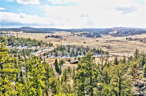 352 Chippewa Ln, Como, CO 80432 photo 7