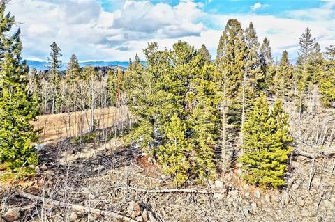 352 Chippewa Ln, Como, CO 80432 photo 6