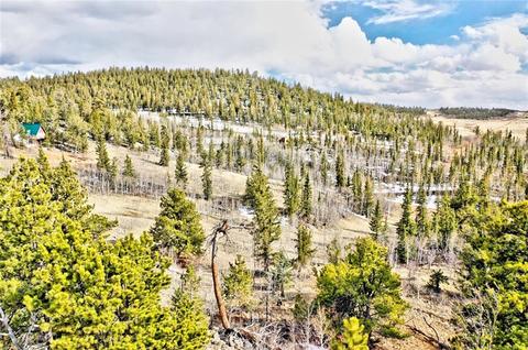 352 Chippewa Ln, Como, CO 80432 photo 8