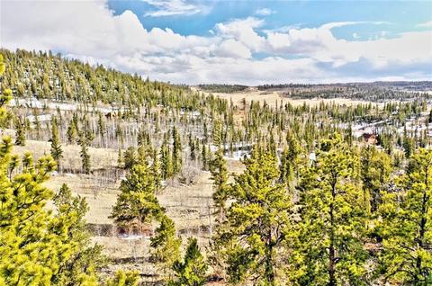 352 Chippewa Ln, Como, CO 80432 photo 5