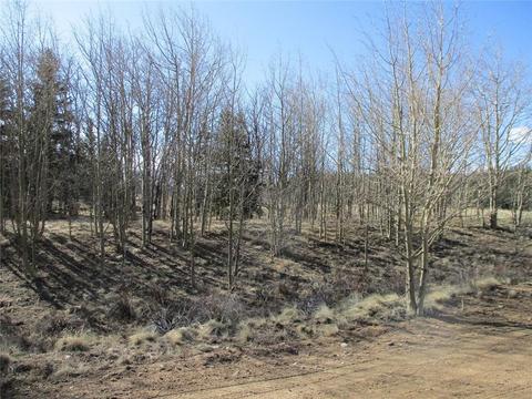 80 Longbow Ct, Como, CO 80432 photo 1