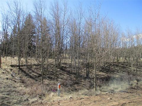 80 Longbow Ct, Como, CO 80432 photo 2