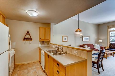 910 Copper Rd #121, Copper Mountain, CO 80443 photo 13