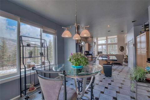 602 Willowbrook Rd, Silverthorne, CO 80498 photo 8