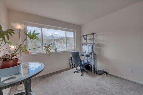 602 Willowbrook Rd, Silverthorne, CO 80498 photo 20
