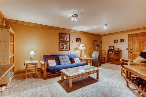146 Cartier Ct, Dillon, CO 80435 photo 22