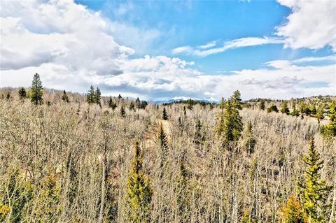 133 Kite Ct, Como, CO 80432 photo 1