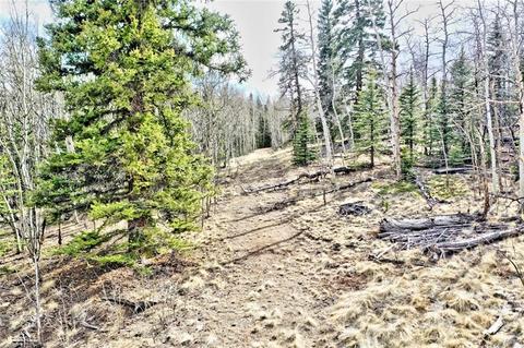 133 Kite Ct, Como, CO 80432 photo 12