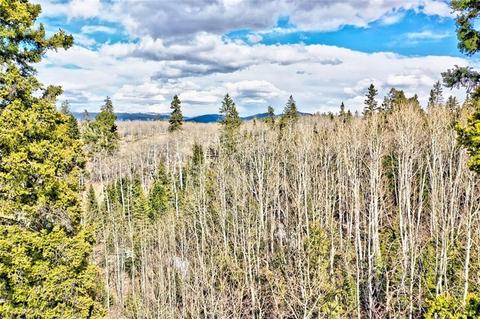 133 Kite Ct, Como, CO 80432 photo 19