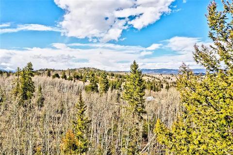 133 Kite Ct, Como, CO 80432 photo 3