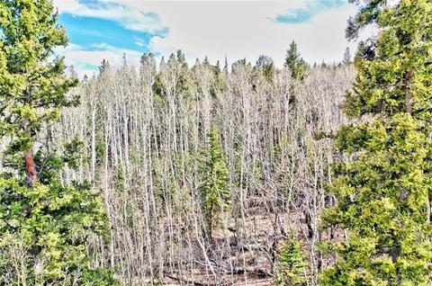 133 Kite Ct, Como, CO 80432 photo 14