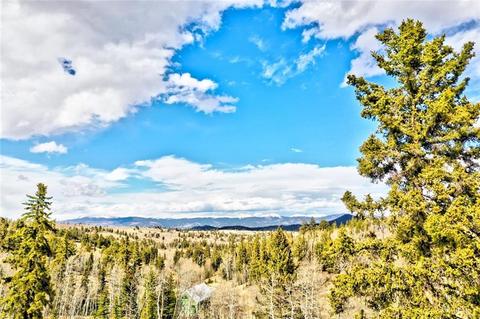 133 Kite Ct, Como, CO 80432 photo 20