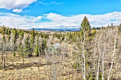 133 Kite Ct, Como, CO 80432 photo 16