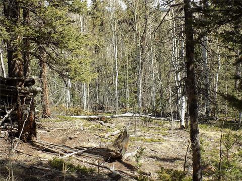 50 Nez Perce Rd, Como, CO 80432 photo 20