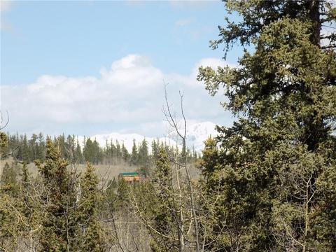50 Nez Perce Rd, Como, CO 80432 photo 4