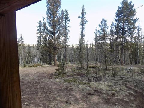 50 Nez Perce Rd, Como, CO 80432 photo 7