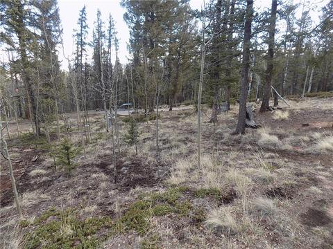 50 Nez Perce Rd, Como, CO 80432 photo 9