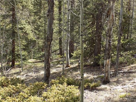 50 Nez Perce Rd, Como, CO 80432 photo 19