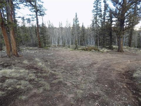 50 Nez Perce Rd, Como, CO 80432 photo 11