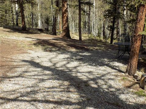 50 Nez Perce Rd, Como, CO 80432 photo 22