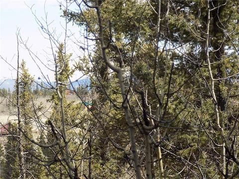 50 Nez Perce Rd, Como, CO 80432 photo 2