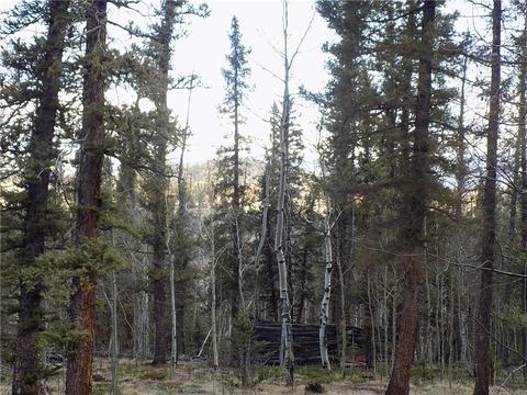 50 Nez Perce Rd, Como, CO 80432 photo 12