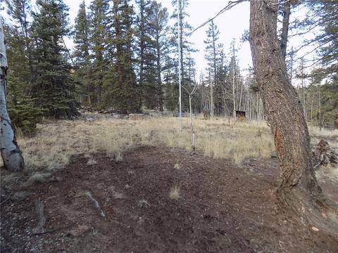 50 Nez Perce Rd, Como, CO 80432 photo 8