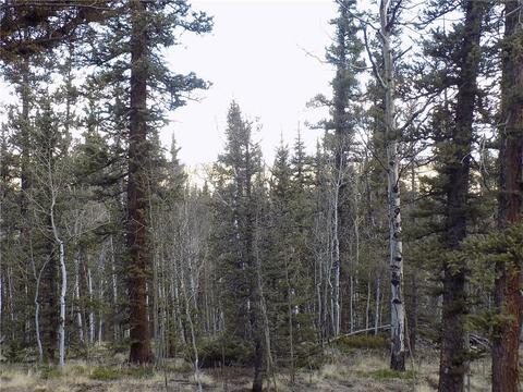 50 Nez Perce Rd, Como, CO 80432 photo 13
