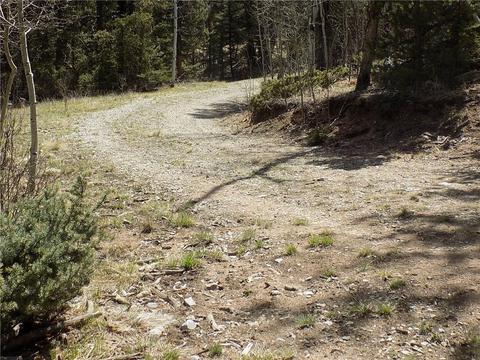 50 Nez Perce Rd, Como, CO 80432 photo 21
