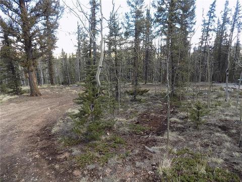 50 Nez Perce Rd, Como, CO 80432 photo 10