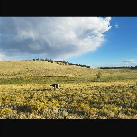 293 Goshawk Rd, Como, CO 80432 photo 10